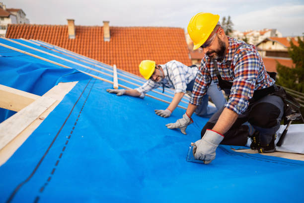 Best Chimney Flashing Repair  in Miami Heights, OH